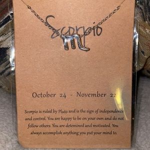Scorpio Zodiac Sign Necklace, Silver, 16” chain